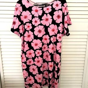 NWOT Ava sky shirt dress